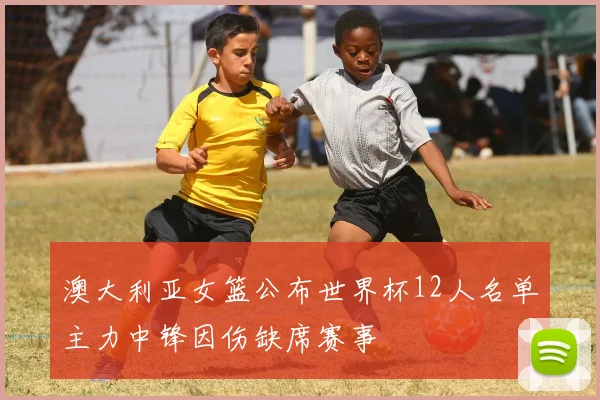 澳大利亚女篮公布世界杯12人名单主力中锋因伤缺席赛事