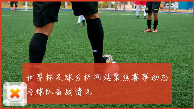 世界杯足球分析网站聚焦赛事动态与球队备战情况